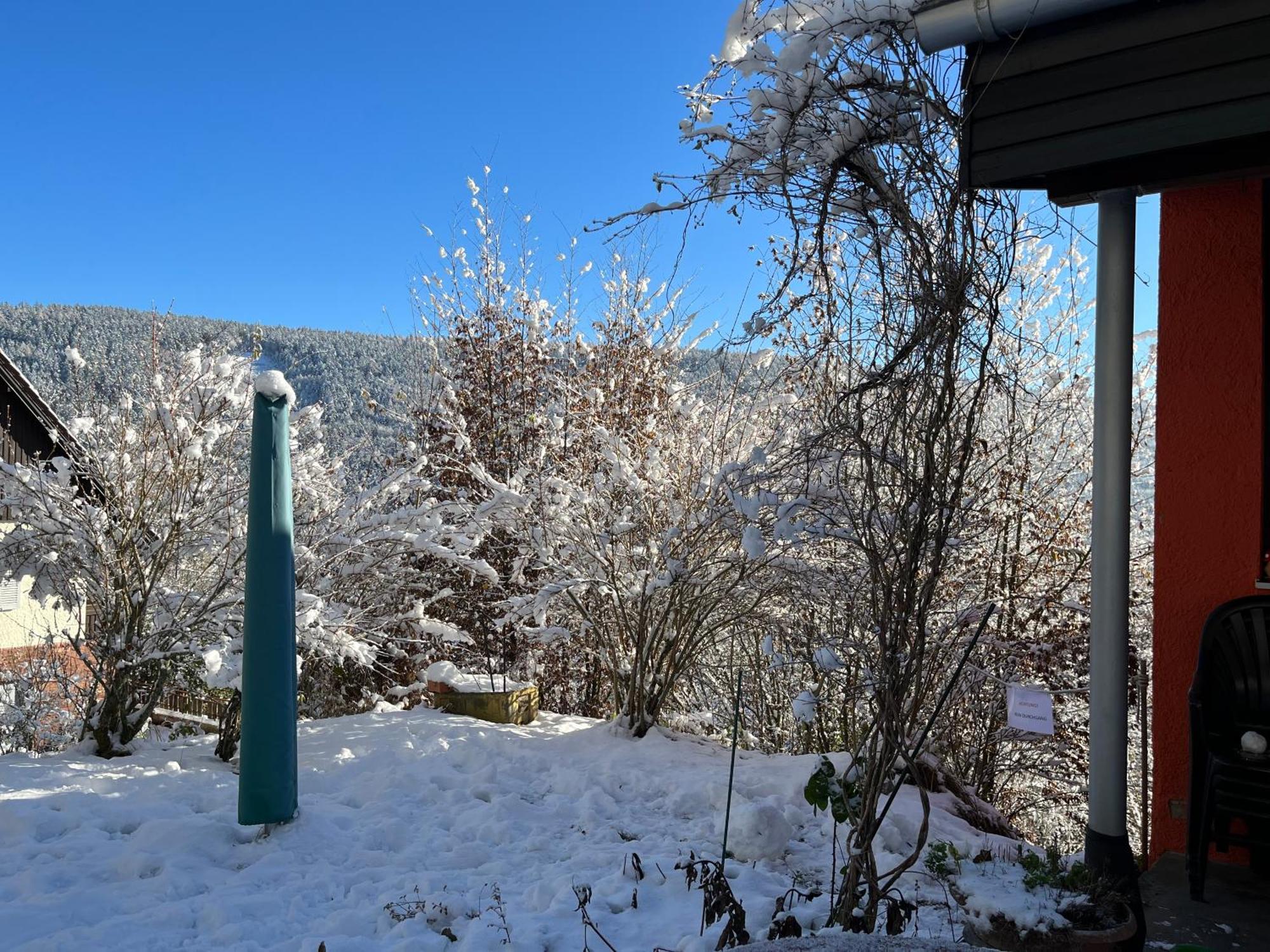 Waldhaus Max Lägenhet Bad Wildbad Exteriör bild