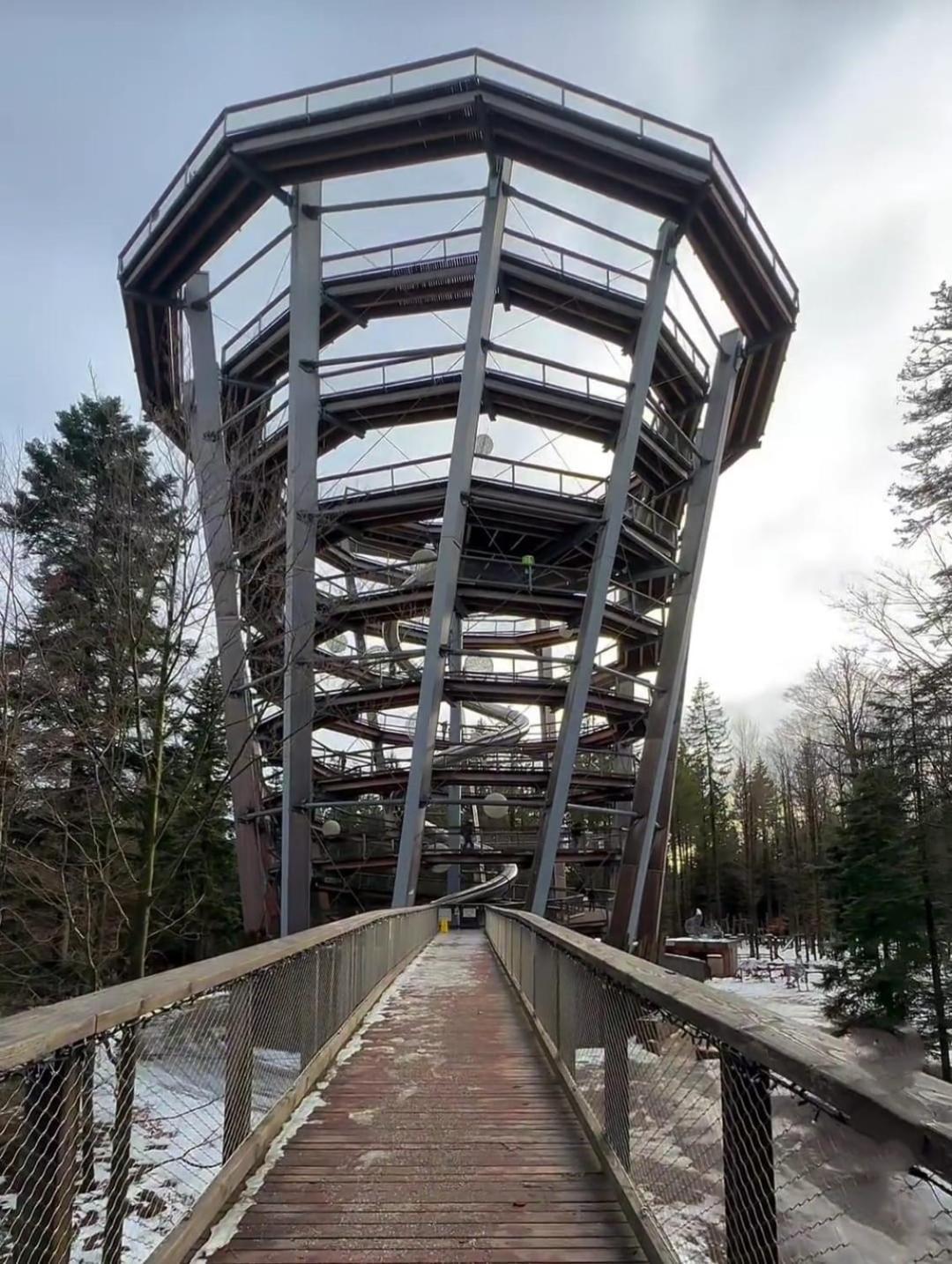 Waldhaus Max Lägenhet Bad Wildbad Exteriör bild
