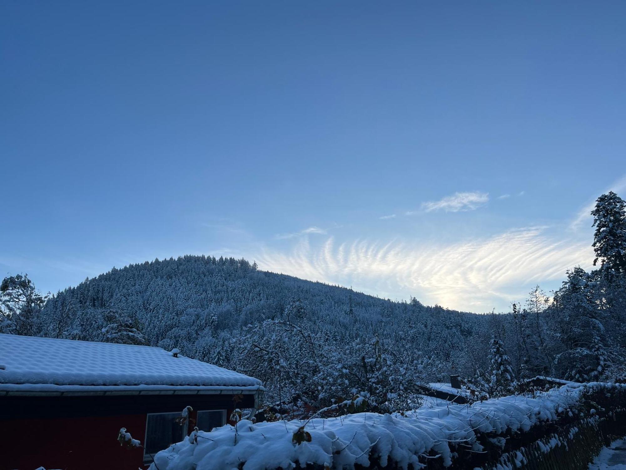 Waldhaus Max Lägenhet Bad Wildbad Exteriör bild