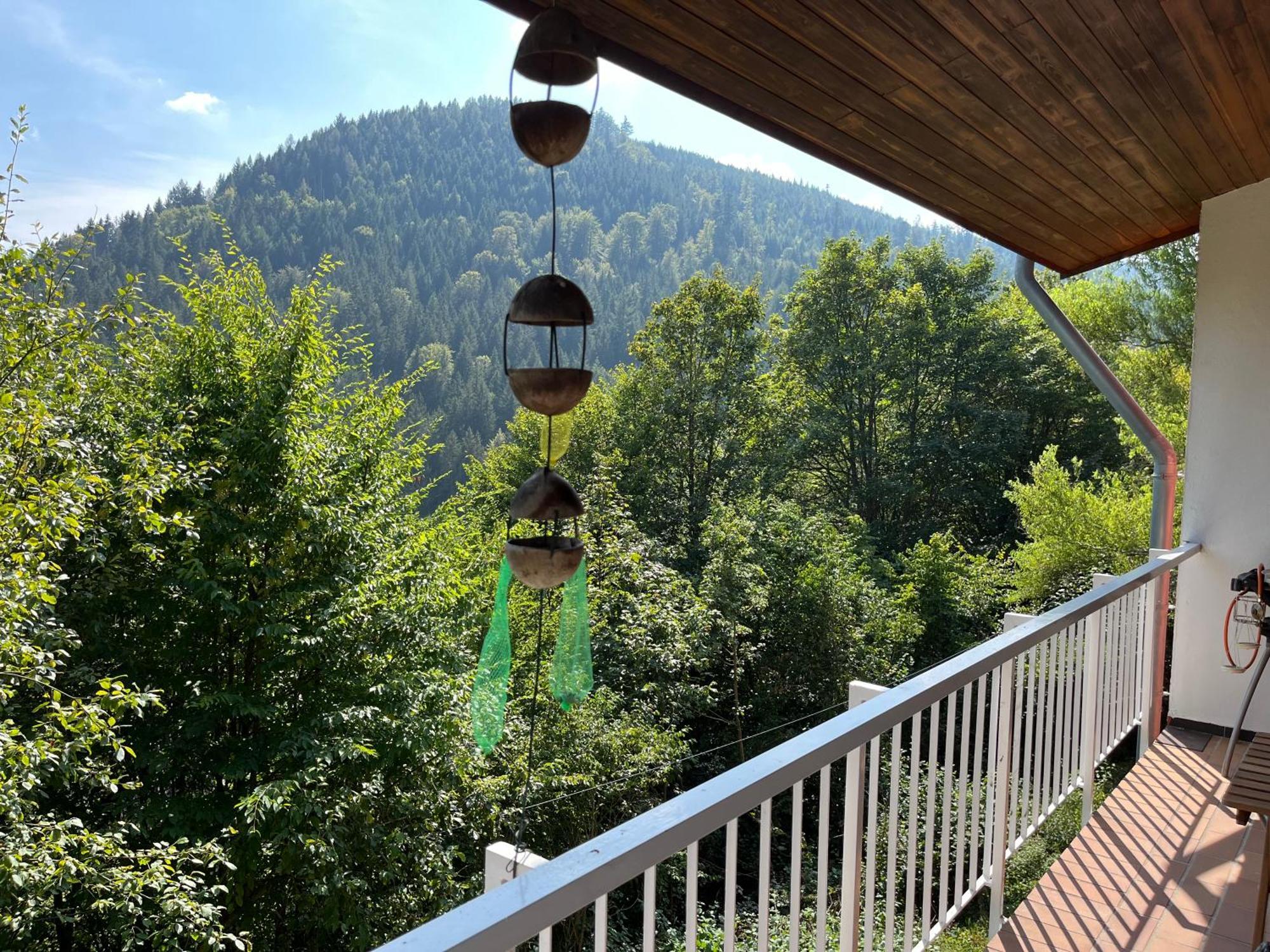 Waldhaus Max Lägenhet Bad Wildbad Exteriör bild